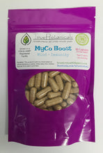 Myco Boost Mind & Immunity Mushroom Blend